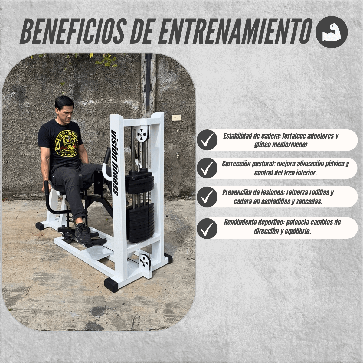 Sillón Dual Aductores/Abductores